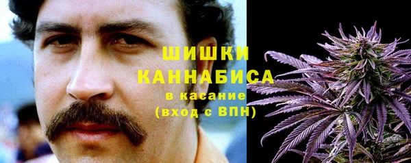 мяу мяу мука Аркадак